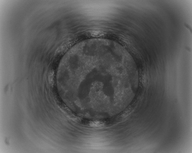 X0000102800319200809081118