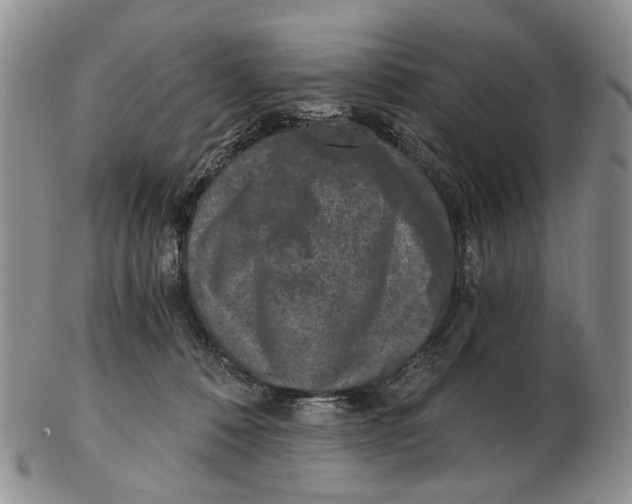 X0000102800320200809081118