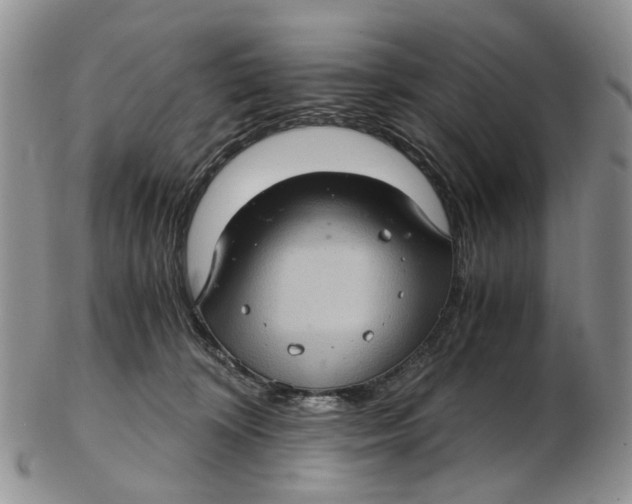 X0000102800324200809081118