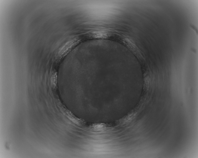 X0000102800325200809081118