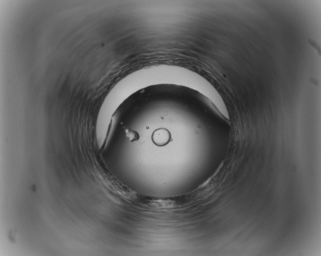 X0000102800328200809081117