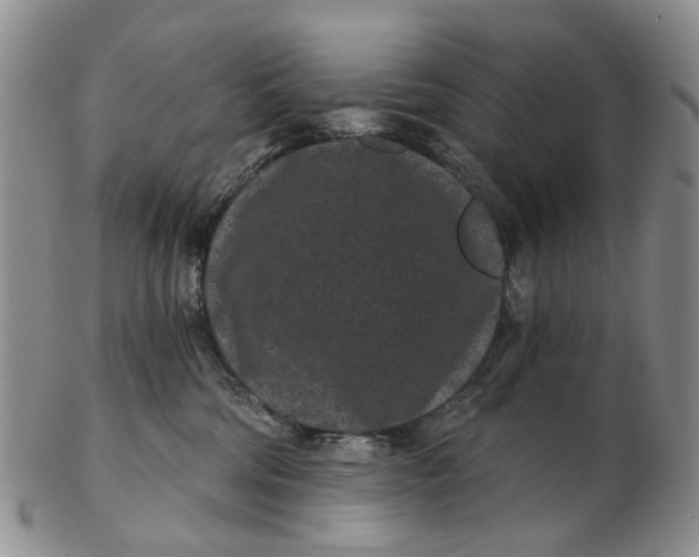 X0000102800330200809081117