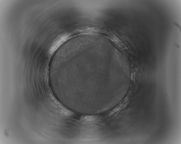 X0000102800341200809081117