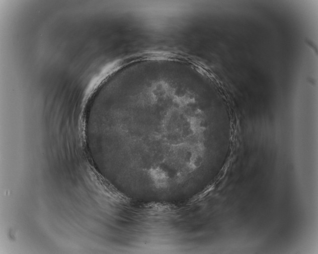 X0000102800343200809081117