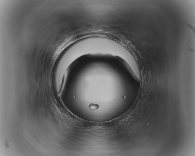 X0000102800344200809081117