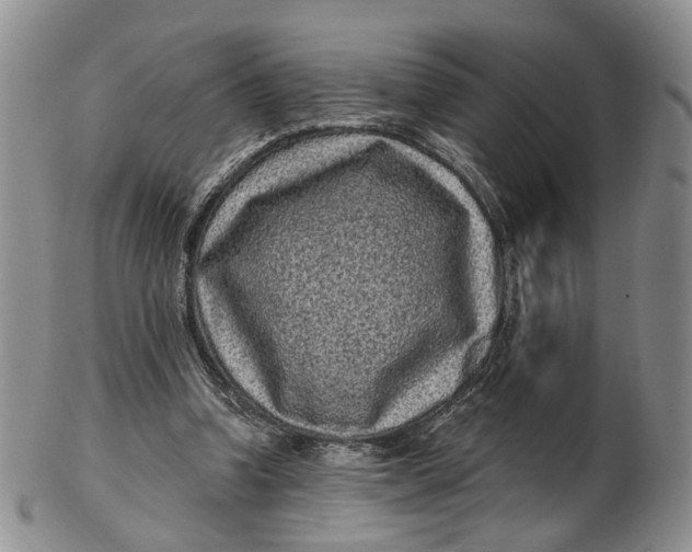 X0000102800346200809081117