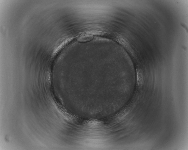 X0000102800348200809081117