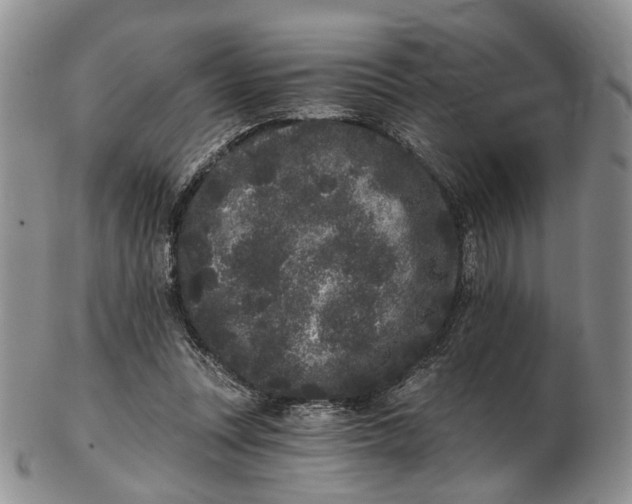 X0000102800351200809081117