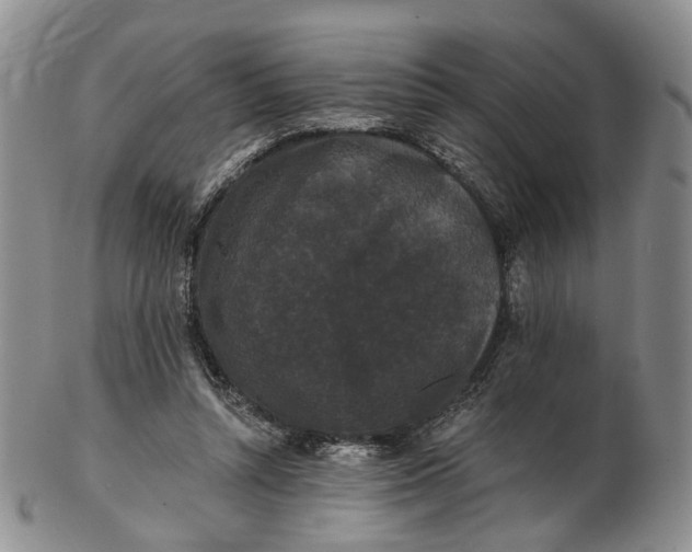 X0000102800352200809081117