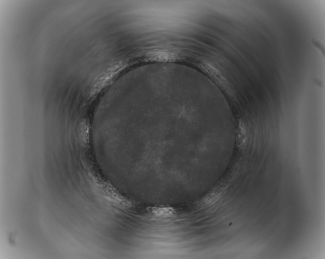 X0000102800355200809081117