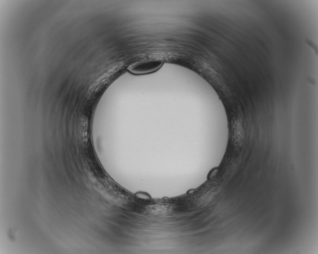 X0000102800356200809081117