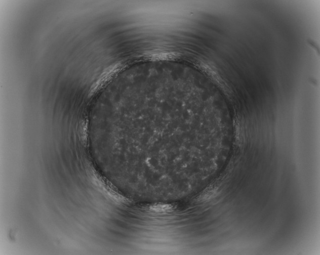 X0000102800357200809081117