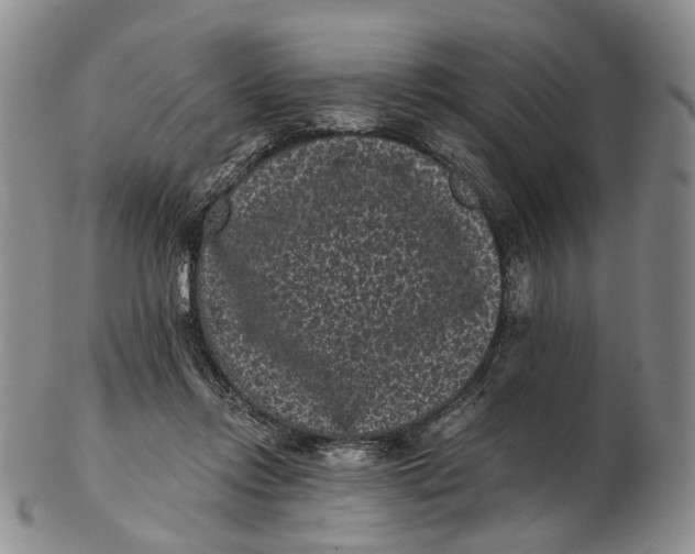 X0000102800358200809081117