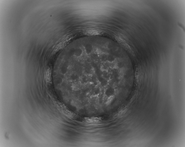 X0000102800359200809081117