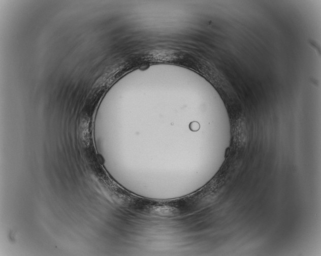 X0000102800360200809081117