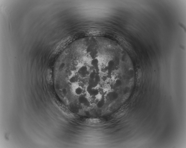 X0000102800361200809081117