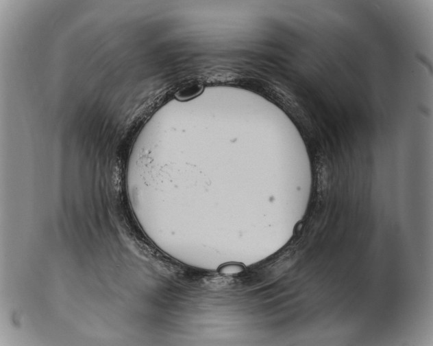 X0000102800362200809081117