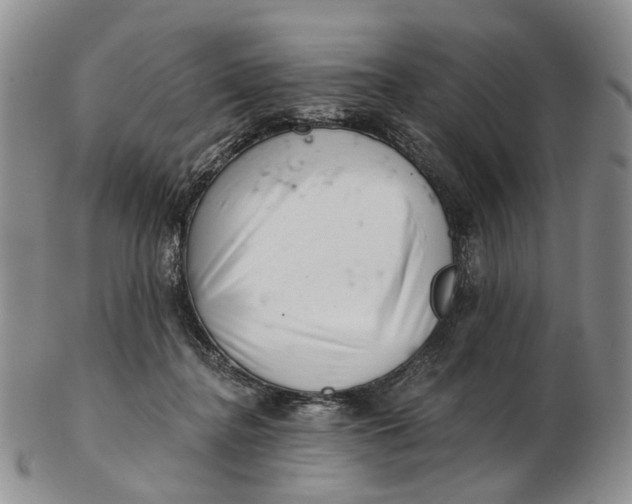 X0000102800364200809081117