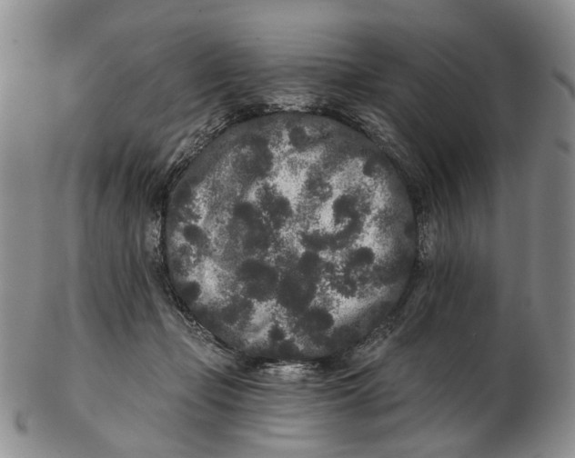 X0000102800365200809081117