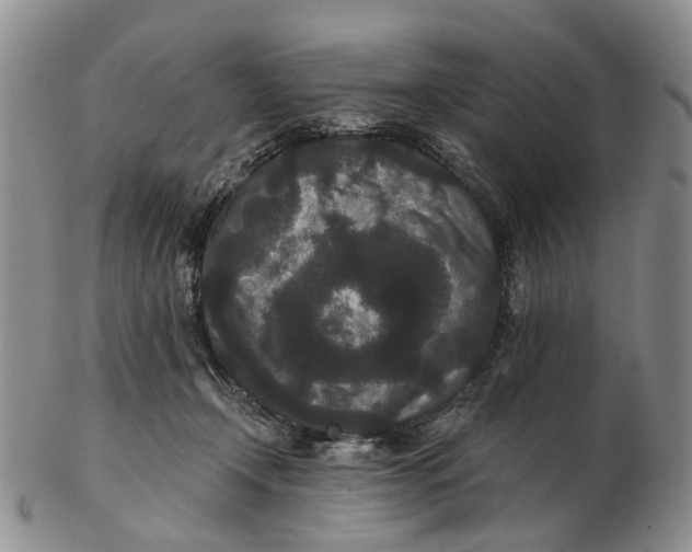 X0000102800366200809081117