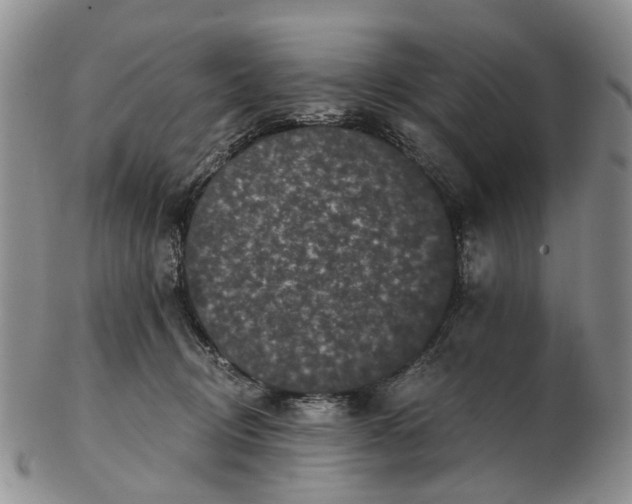 X0000102800370200809081117