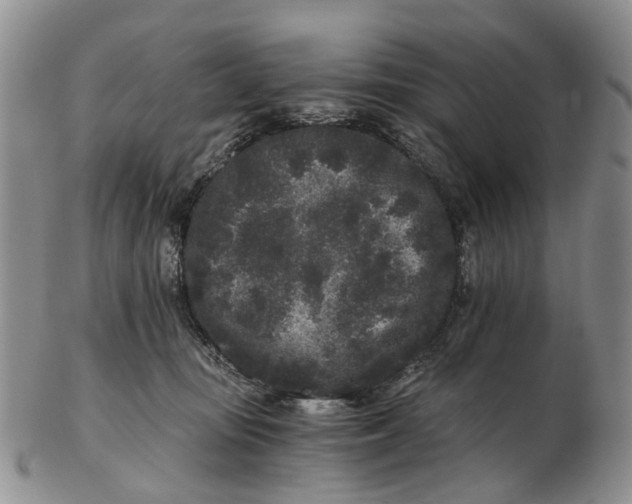 X0000102800371200809081117