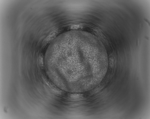 X0000102800375200809081117