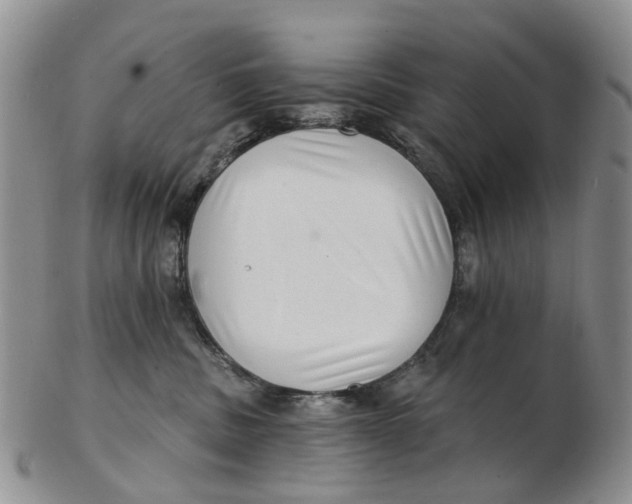 X0000102800379200809081117