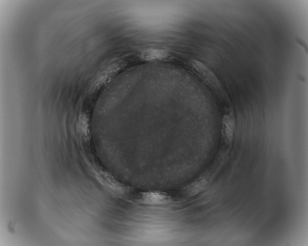 X0000102800380200809081117