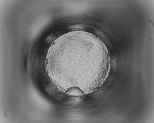 X0000102800381200809081117