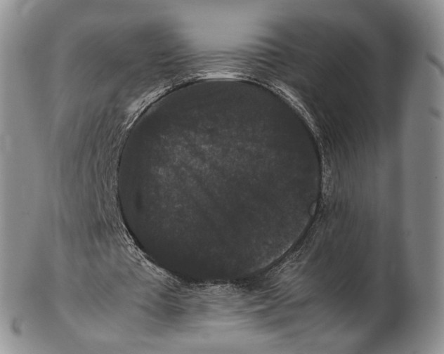 X0000102800385200809081117