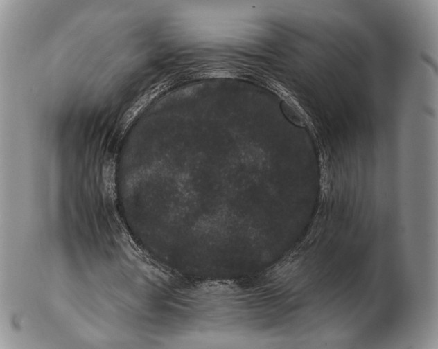 X0000102800386200809081117