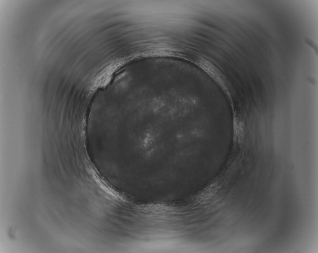 X0000102800389200809081117