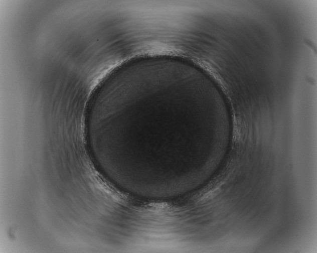 X0000102800391200809081117