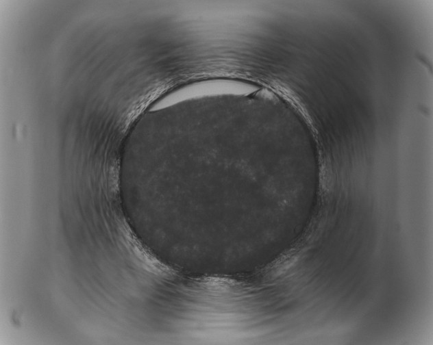 X0000102800393200809081117