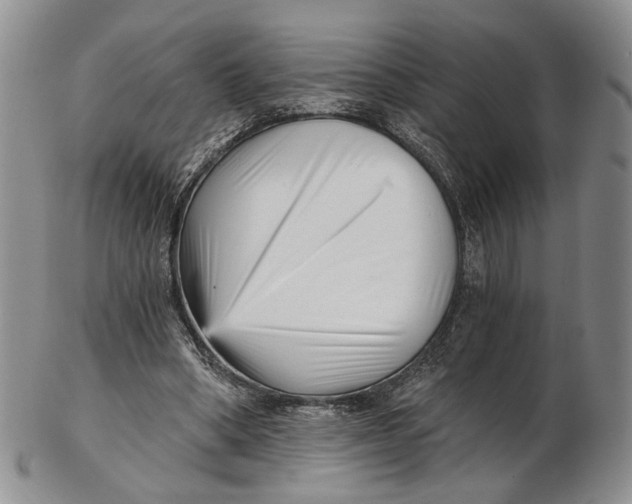 X0000102800394200809081117