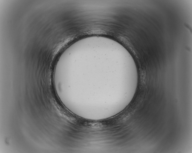 X0000102800395200809081117