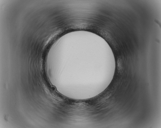 X0000102800396200809081117