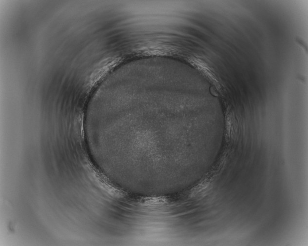 X0000102800398200809081117