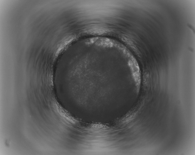 X0000102800399200809081116