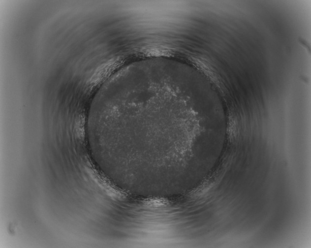 X0000102800402200809081116