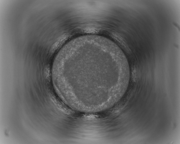 X0000102800407200809081116