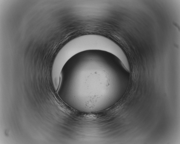 X0000102800409200809081116