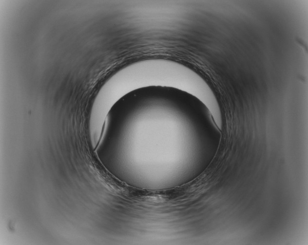 X0000102800411200809081116