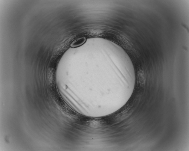 X0000102800412200809081116