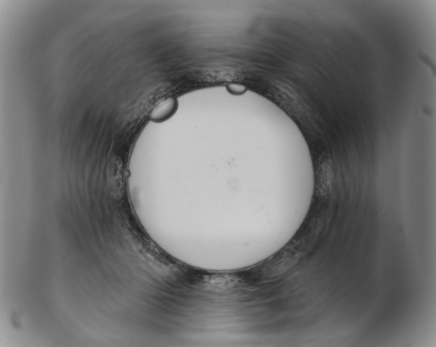 X0000102800414200809081116