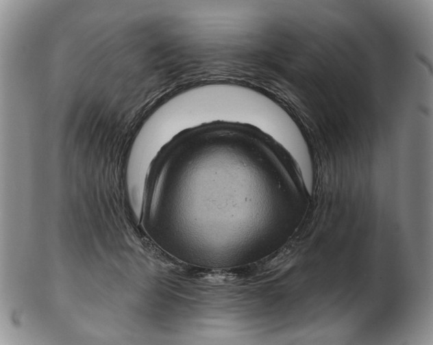 X0000102800415200809081116