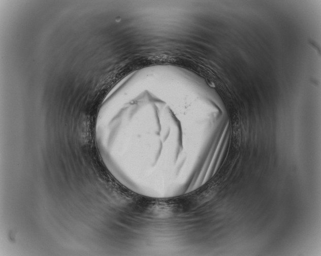 X0000102800416200809081116