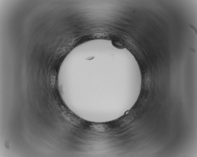 X0000102800417200809081116