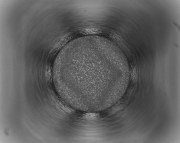 X0000102800418200809081116